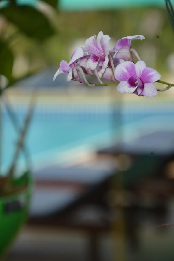 Apple Bungalows Bang Saphan Exterior photo